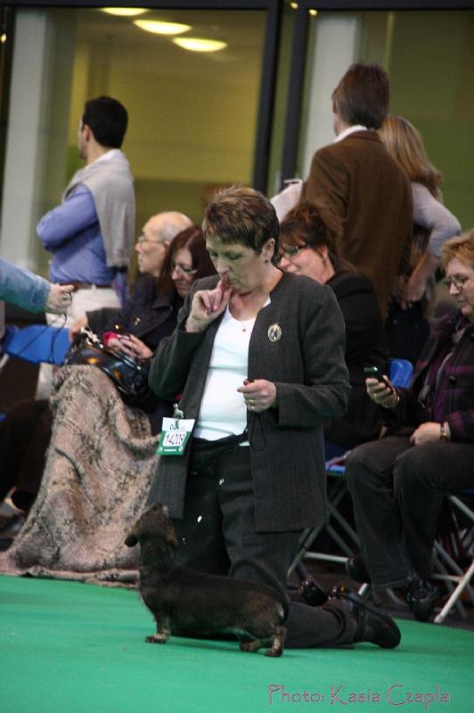 Crufts2011_2 1433.jpg